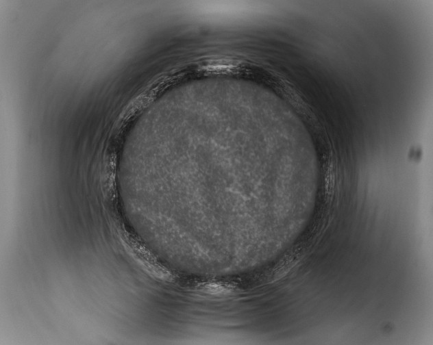 X0000115370737200911241240