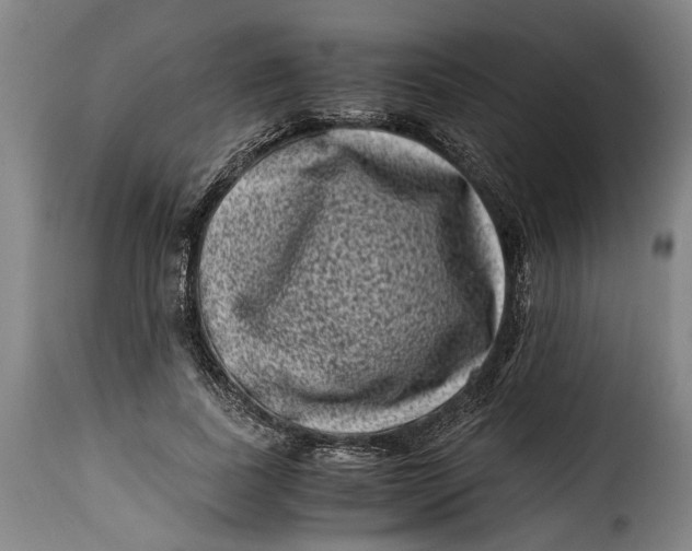 X0000115370739200911241240