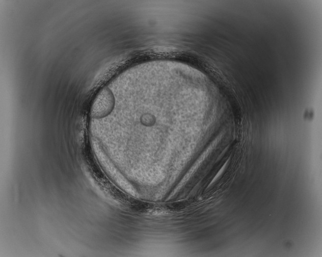 X0000115370742200911241240
