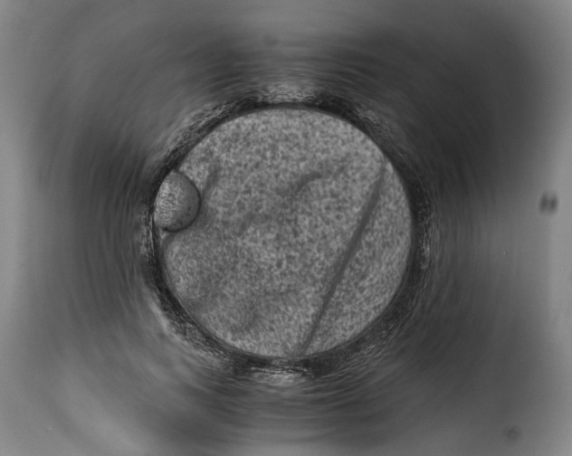 X0000115370743200911241240