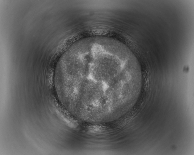 X0000115370745200911241240