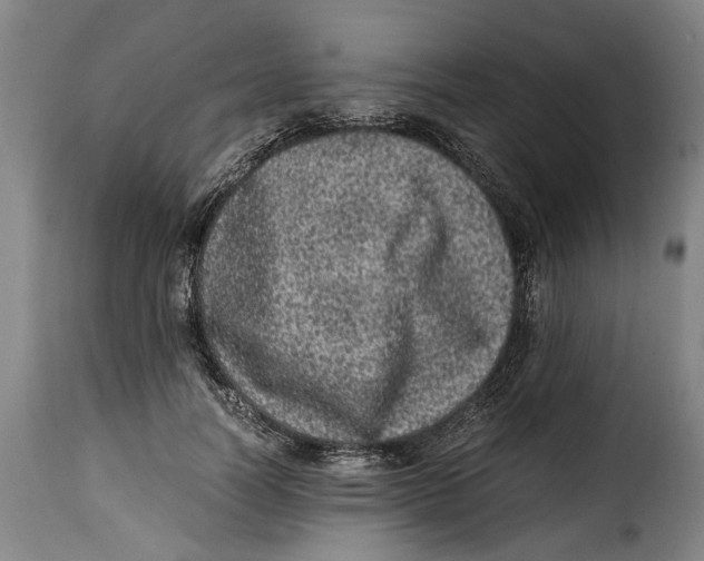 X0000115370746200911241240