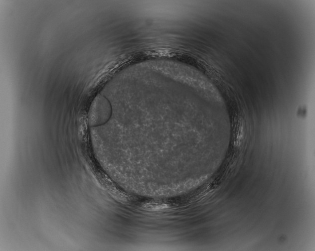 X0000115370747200911241240