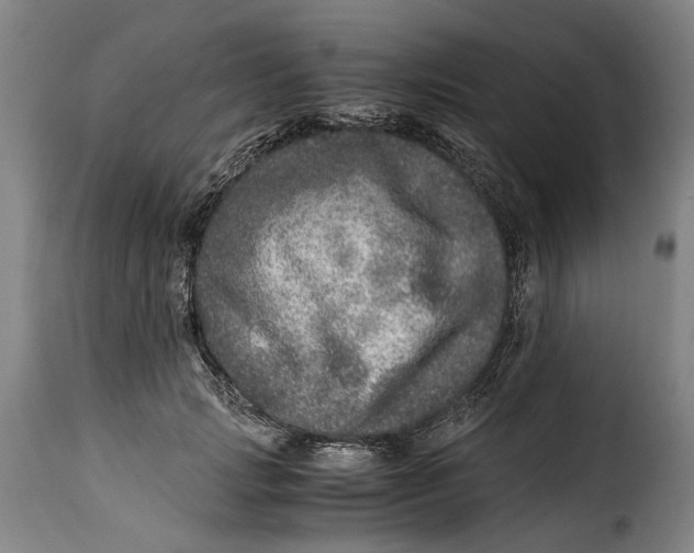 X0000115370749200911241240