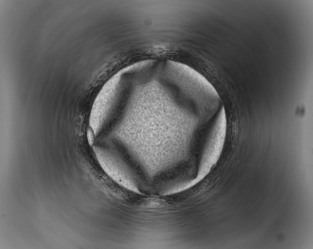 X0000115370750200911241240