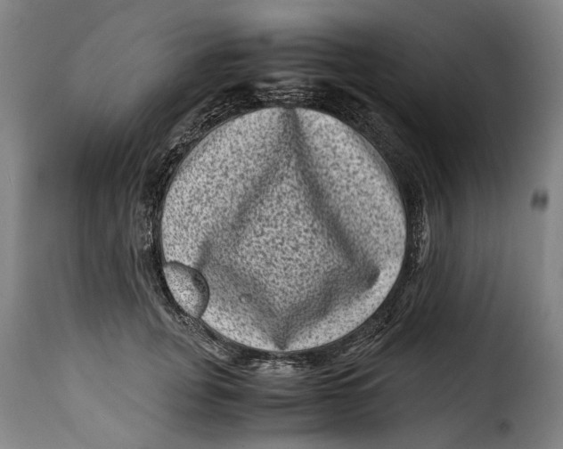 X0000115370751200911241240