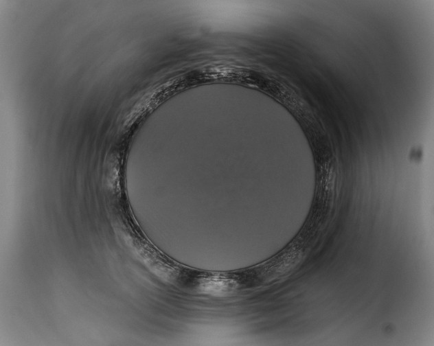 X0000115370754200911241240