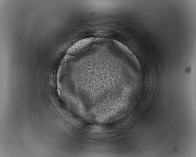 X0000115370755200911241240