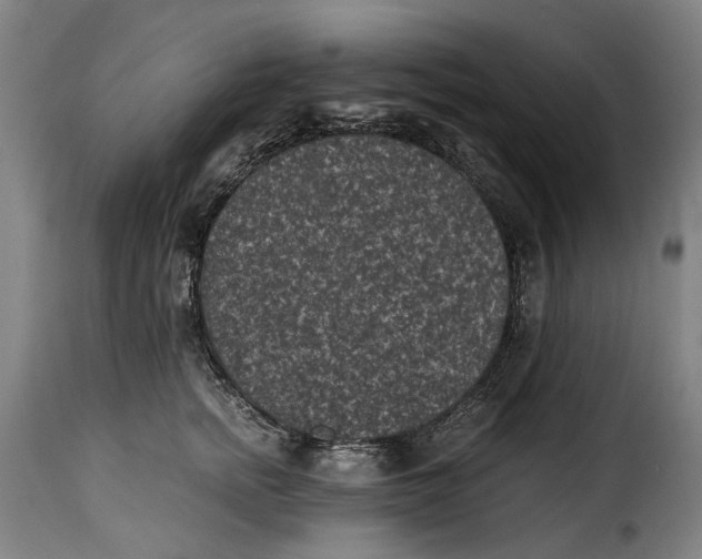 X0000115370758200911241240