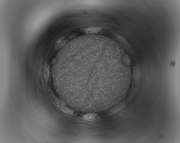 X0000115370761200911241240