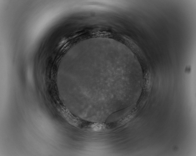 X0000115370762200911241240