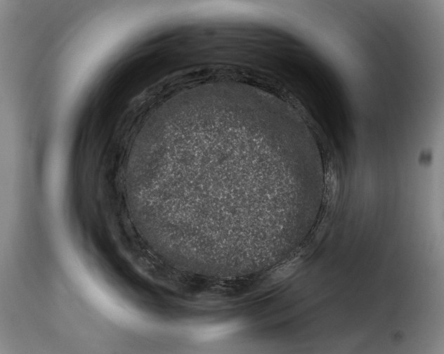 X0000115370765200911241240