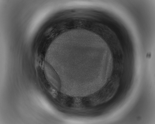 X0000115370766200911241240