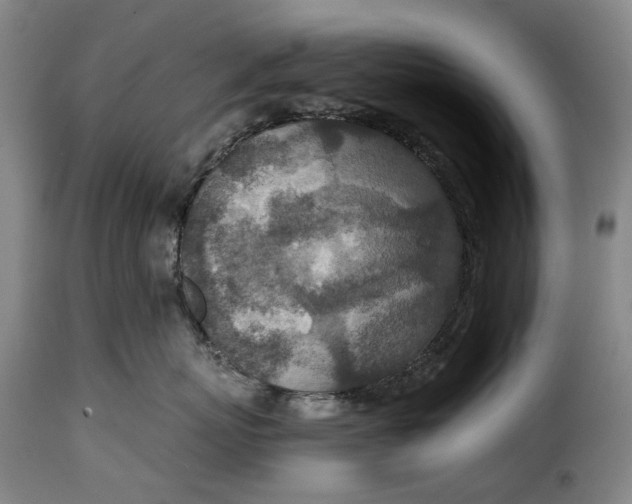 X0000115370767200911241240