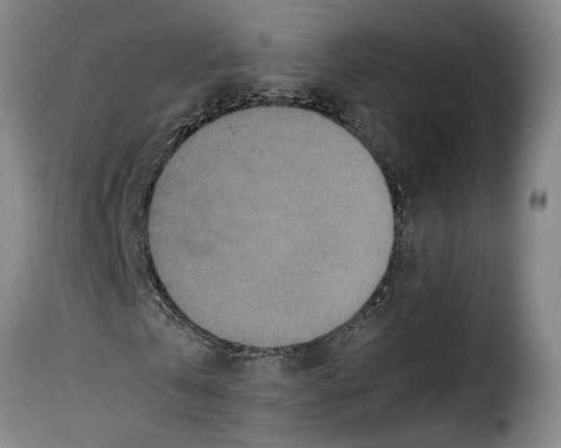 X0000115370769200911241239