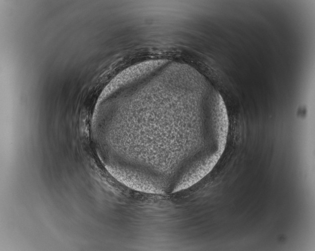 X0000115370770200911241239