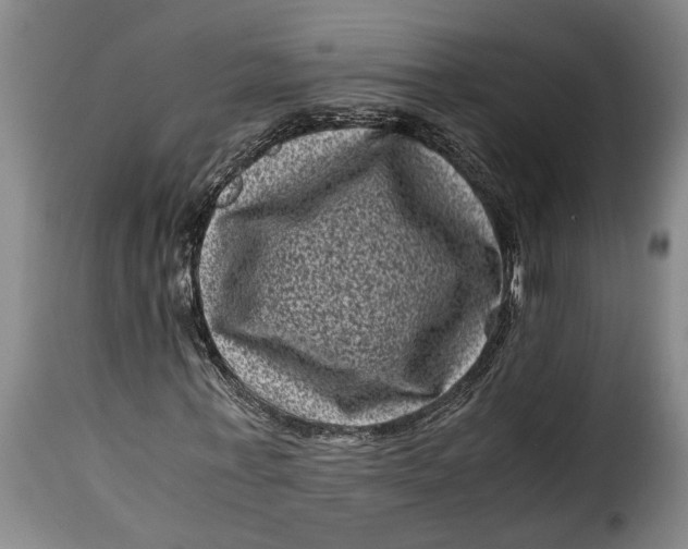 X0000115370771200911241239