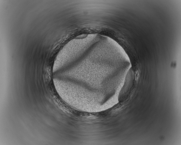X0000115370772200911241239