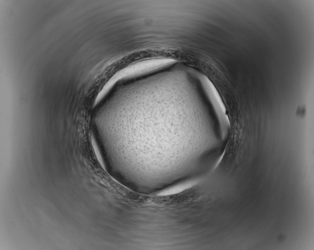 X0000115370773200911241239