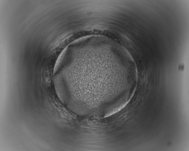 X0000115370774200911241239