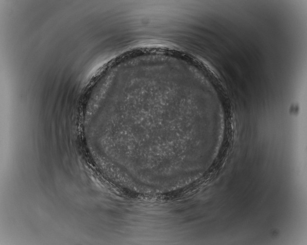 X0000115370775200911241239
