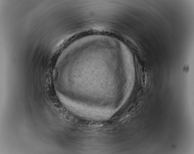 X0000115370776200911241239