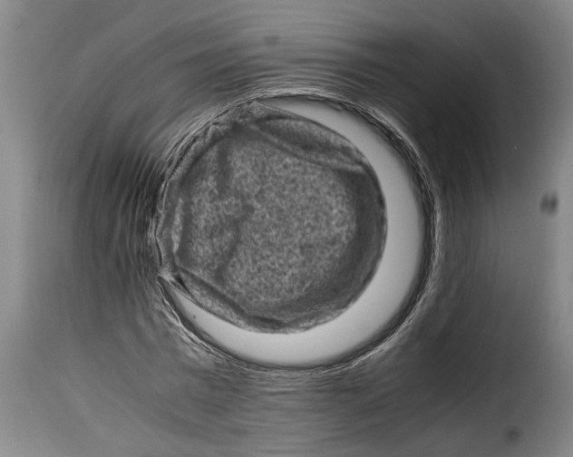 X0000115370777200911241239