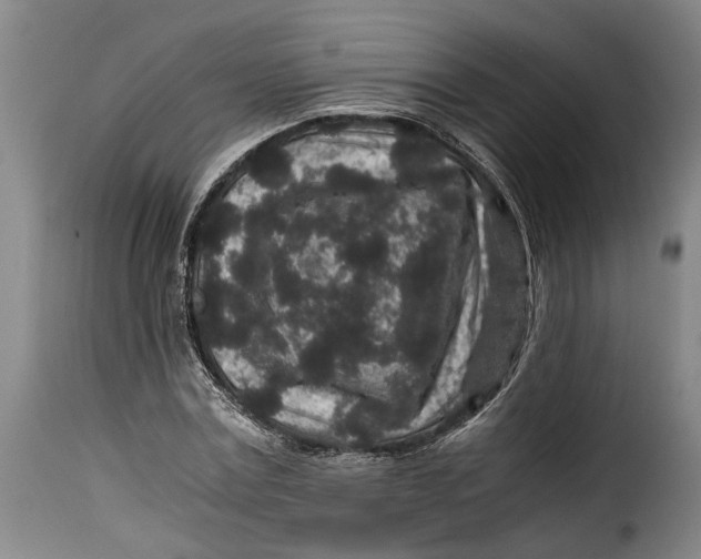 X0000115370779200911241239