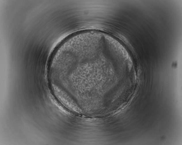 X0000115370780200911241239
