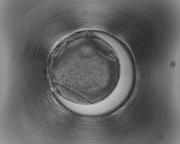 X0000115370781200911241239