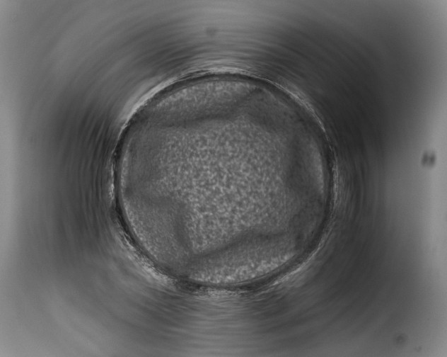 X0000115370782200911241239