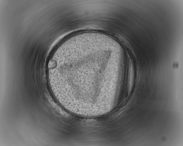 X0000115370784200911241239
