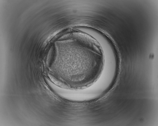 X0000115370785200911241239