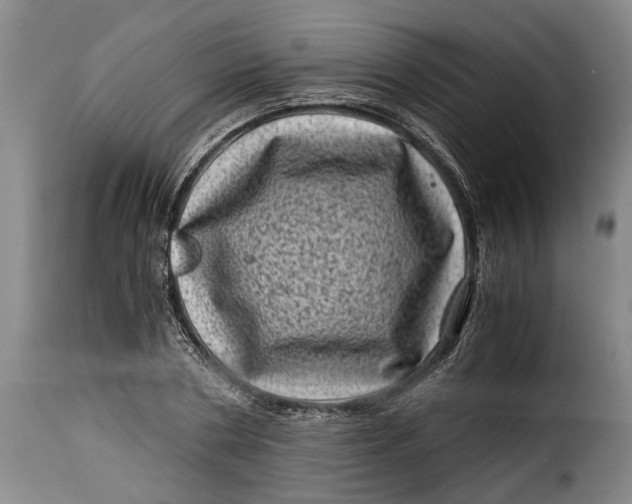 X0000115370786200911241239