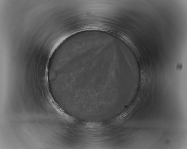 X0000115370788200911241239