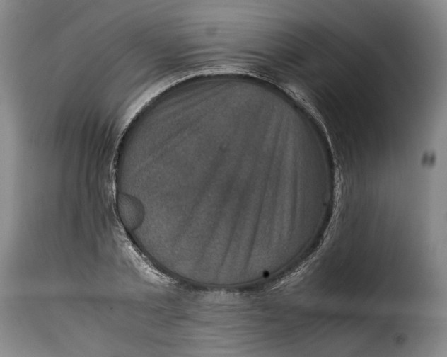 X0000115370789200911241239