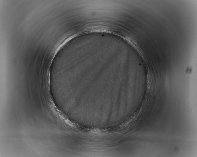 X0000115370790200911241239