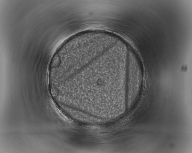 X0000115370791200911241239