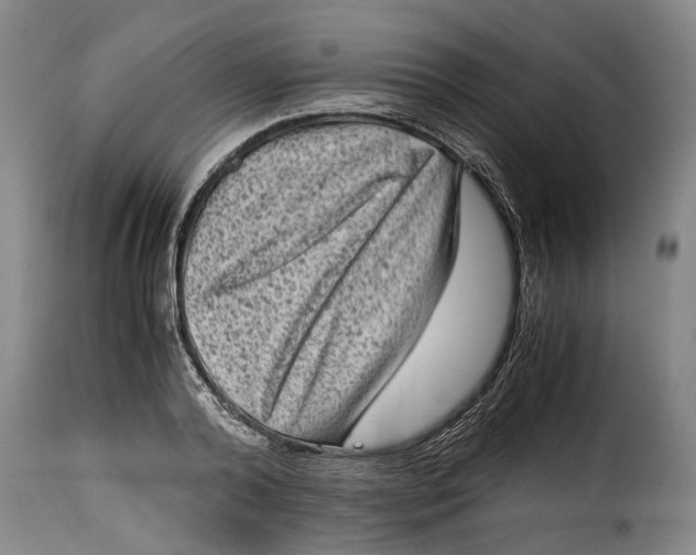 X0000115370792200911241239