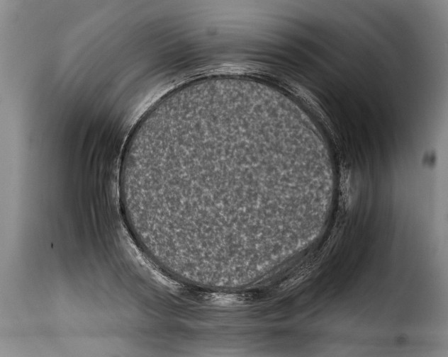 X0000115370794200911241239