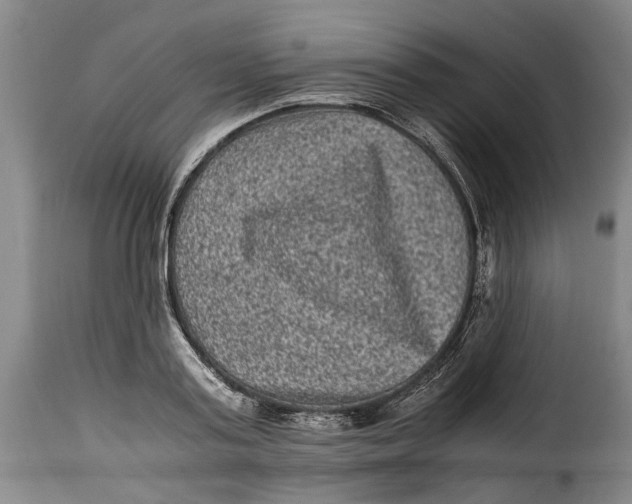 X0000115370795200911241239