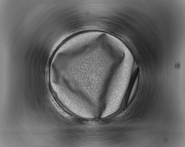 X0000115370796200911241239