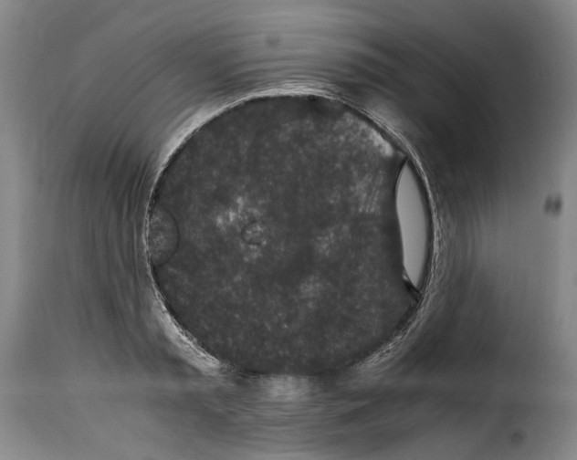 X0000115370797200911241239