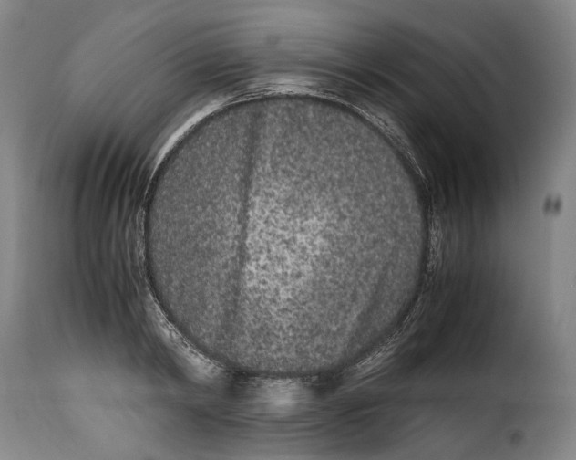 X0000115370798200911241239