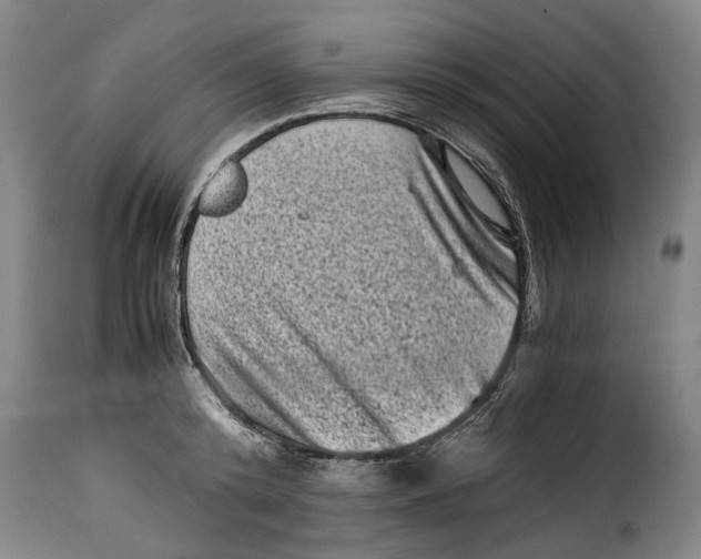 X0000115370800200911241239