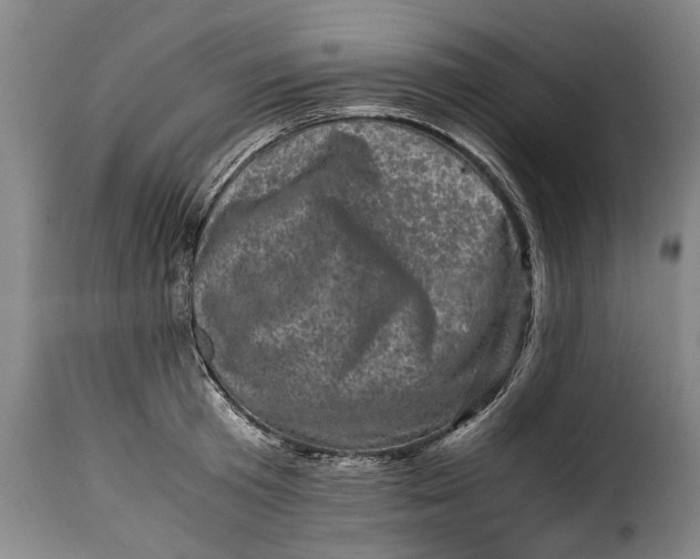 X0000115370801200911241239
