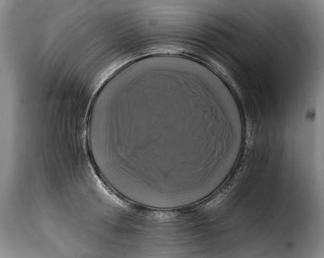 X0000115370802200911241239