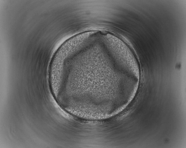 X0000115370803200911241239