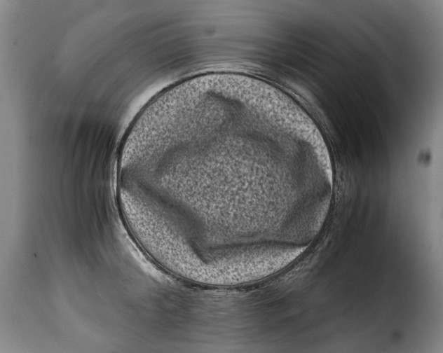 X0000115370804200911241239