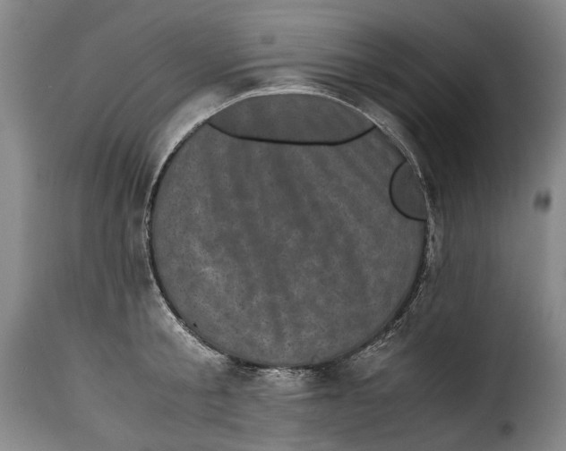 X0000115370805200911241239